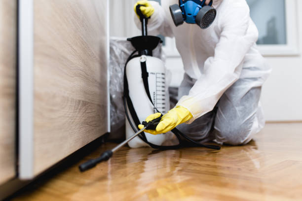 Best Exterminator Services  in Kansas City, MO