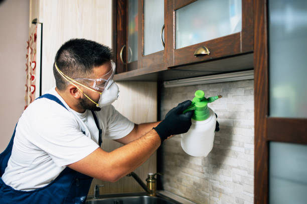 Reliable Kansas City, MO Pest Control Solutions
