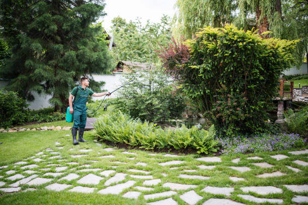 Best Pest Removal Services  in Kansas City, MO