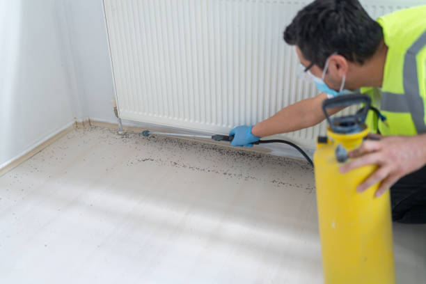 Best Cockroach Control Services  in Kansas City, MO
